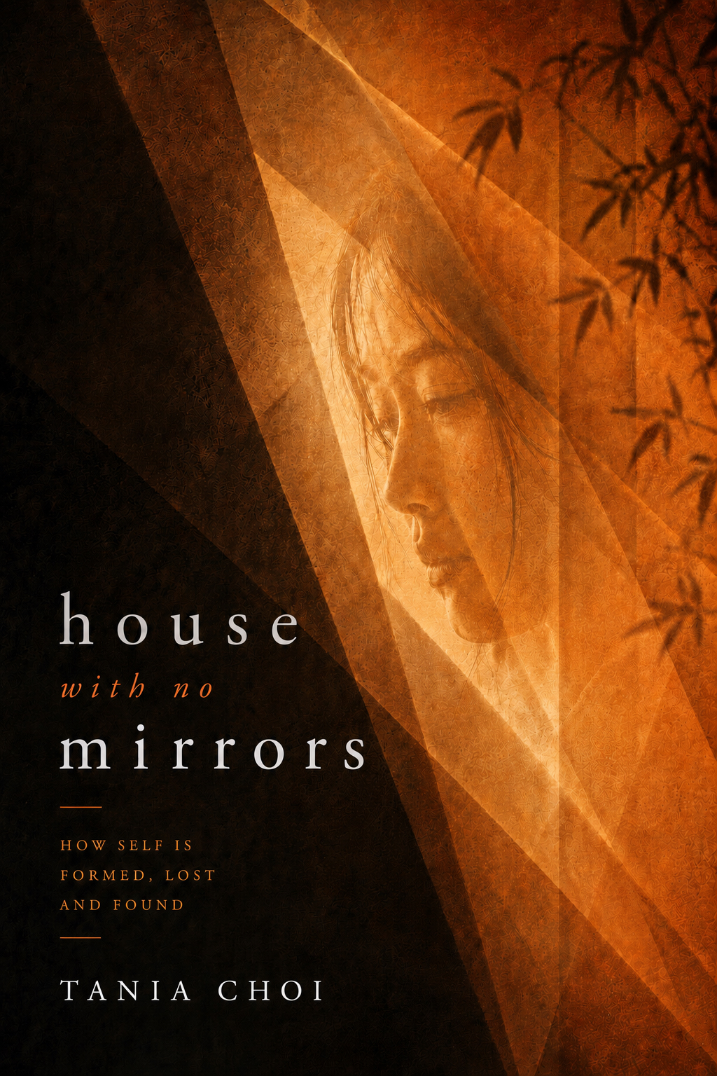 House with No Mirrors
